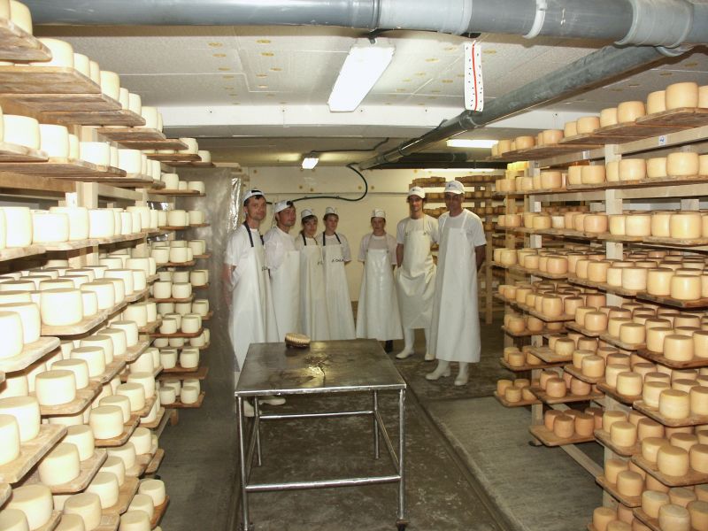 Selisk cheese factory