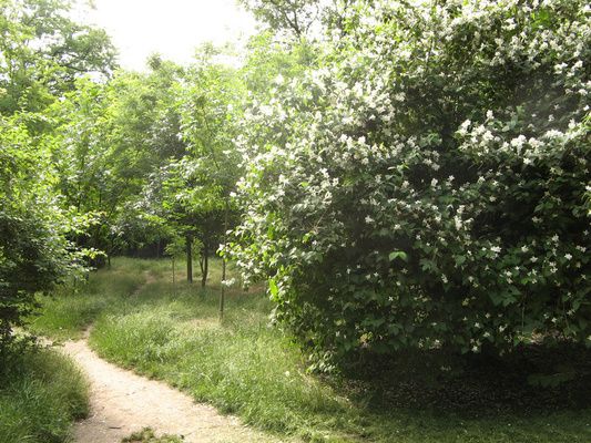 Парк культуры и отдыха Горького