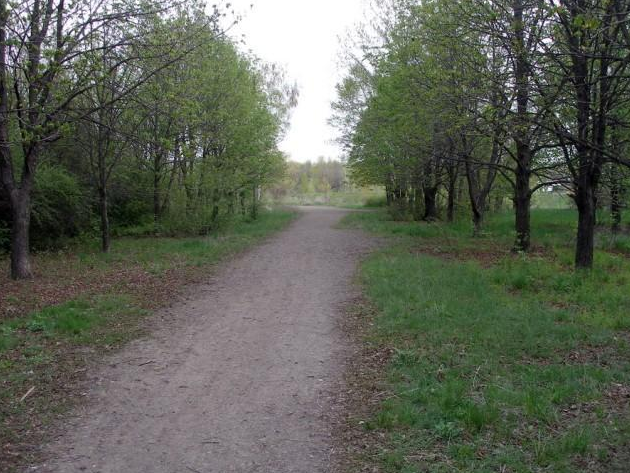 Lugansk arboretum