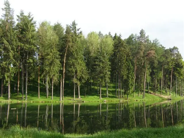 Урочище Нескучное