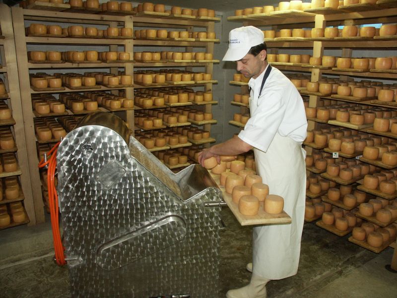 Selisk cheese factory