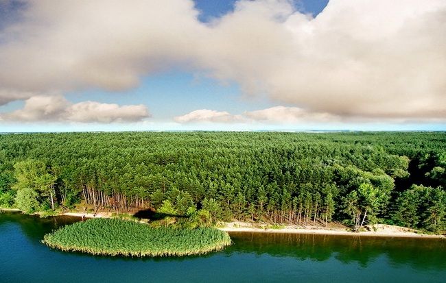 Ландшафтний парк« Печенізьке поле »