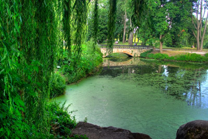 The state dendrological park 