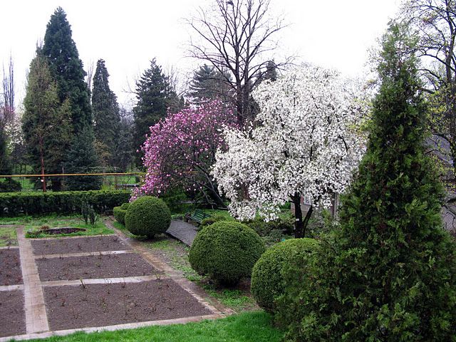 Ботанический сад Ужгородского национального университета