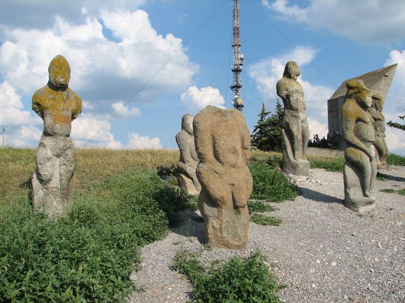  Mount Kremenets, Raisins 