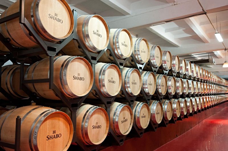 Музей вина и виноделия Шабо