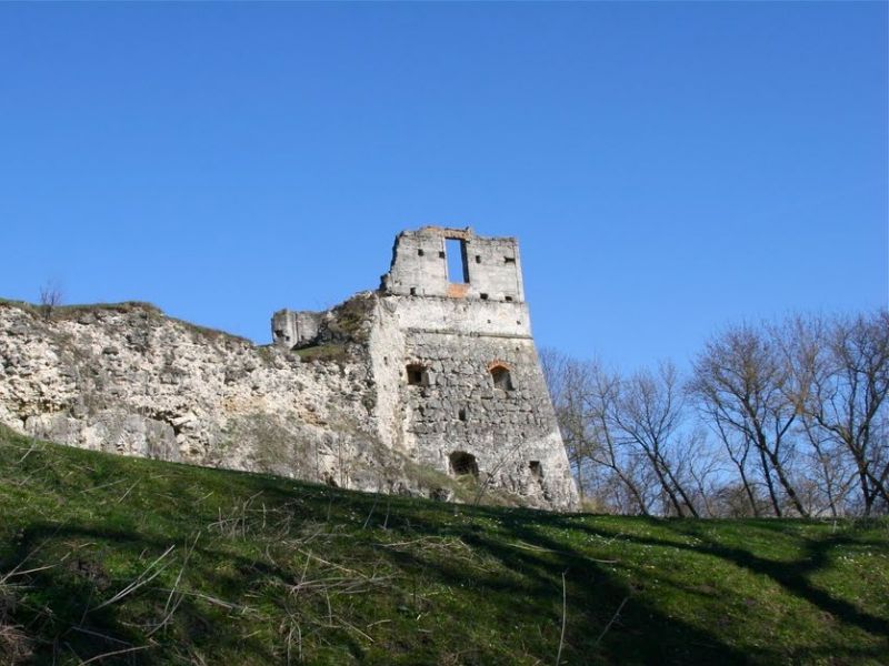Токовский замок