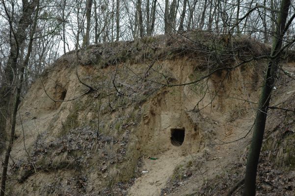 Смородинский спуск «Хрущевская дорога»