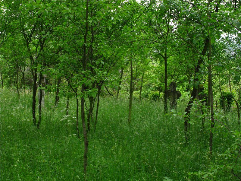 Park of landscape art