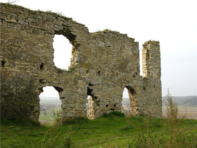  Chernokozinetsk Castle, Chernokozintsy 