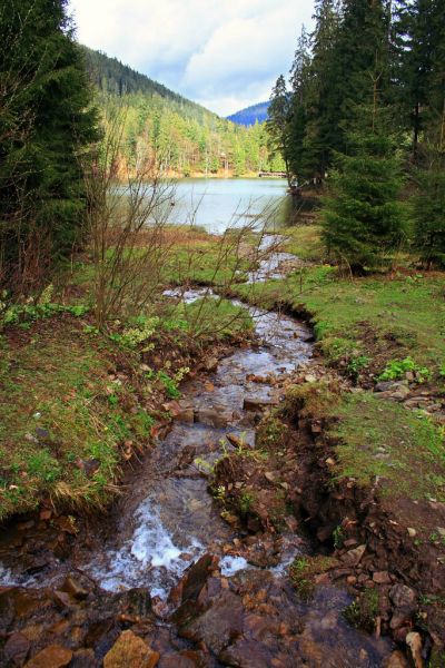  Synevyr Lake 