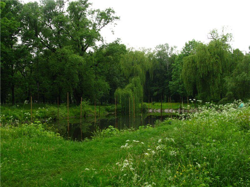 Luzhansky arboretum