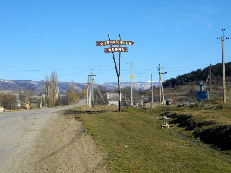  Denisov Ostrich Farm 