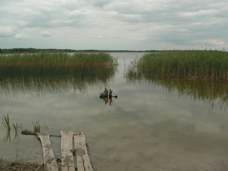  Ландшафтний заказник Згоранські озера 