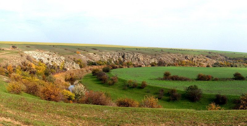 Региональный ландшафтный парк «Приингульский»