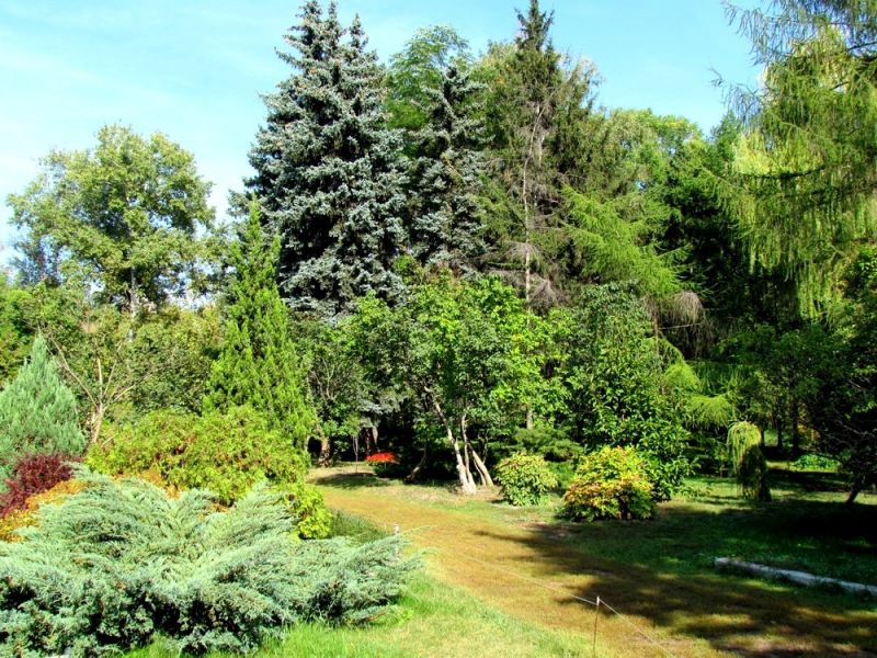 The Botanical Garden of the Kharkov National University