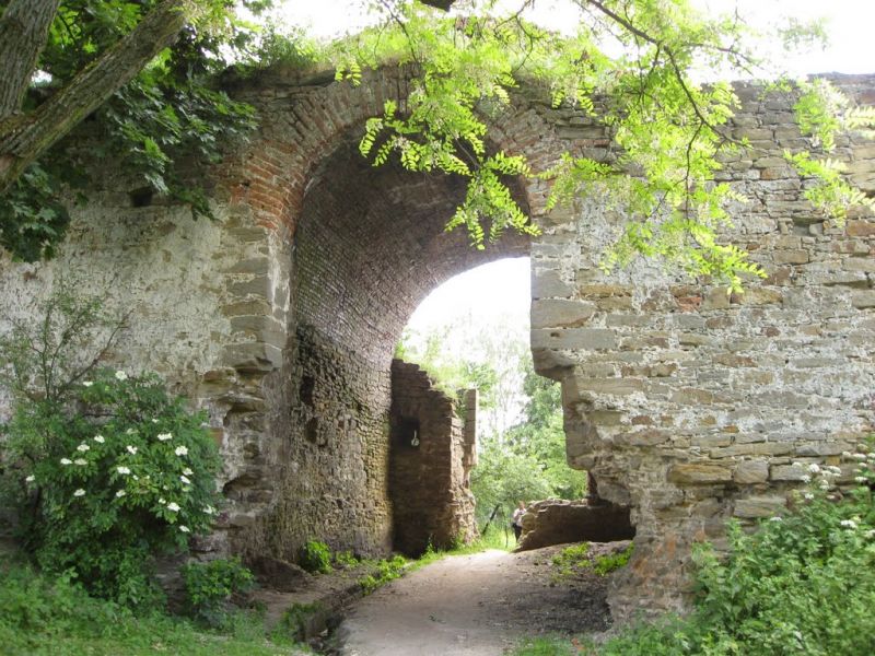 Заславська брама, Межиріч