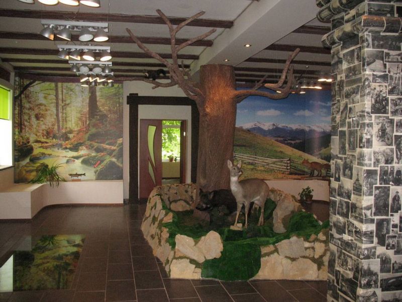 Ecotourism visit center, Yaremche