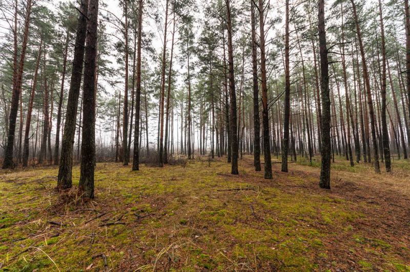  Interregional Regional Landscape Park 