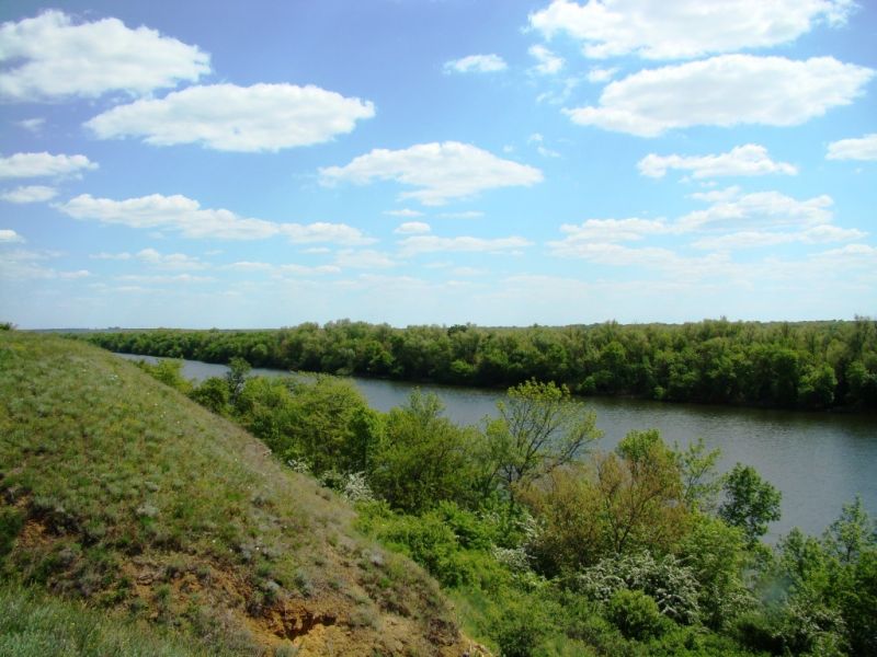 Nikolsky settlement of snakes