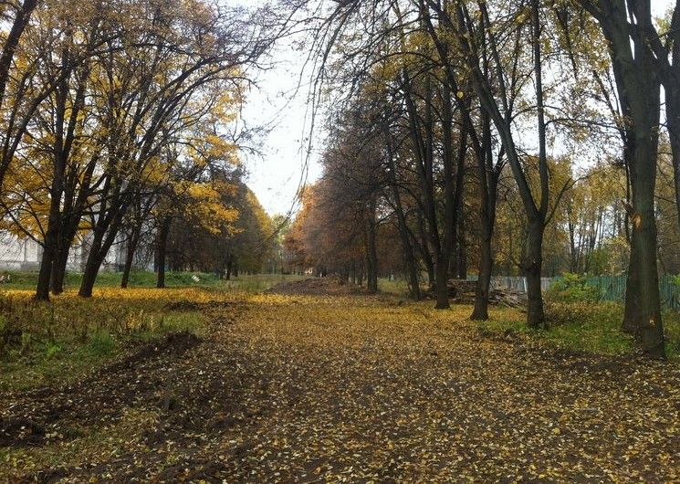 Смоковский парк