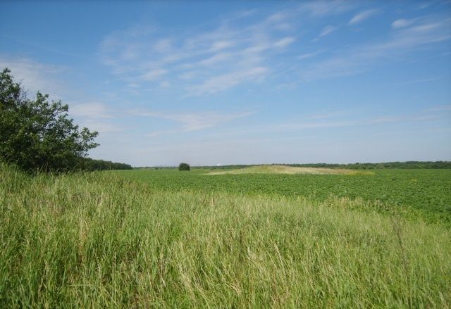  Three Mombels' burial mound, Zaporozhye 