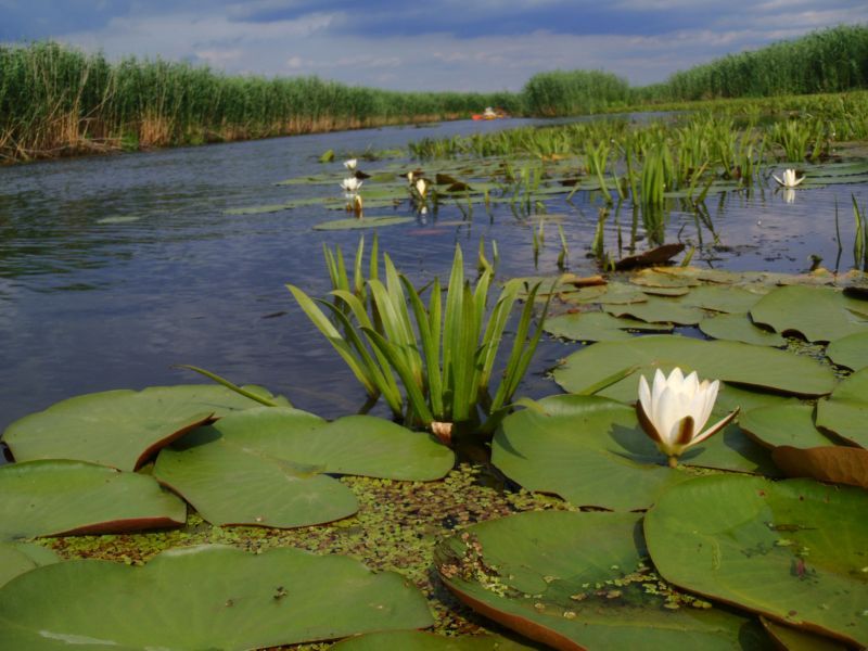 Национальный природный парк Припять-Стоход