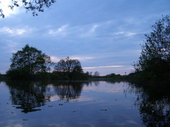 Desniansko-Starogut National Nature Park