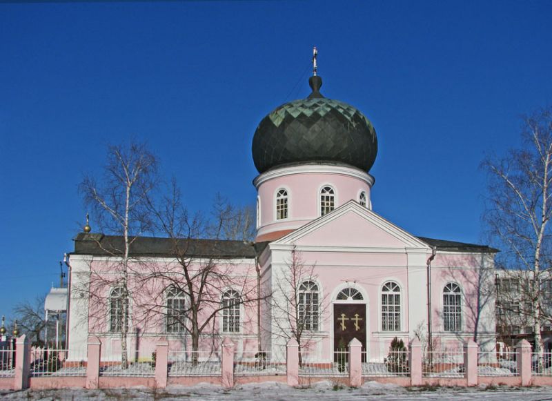 Церковь Димитрия Солунского, Васищево