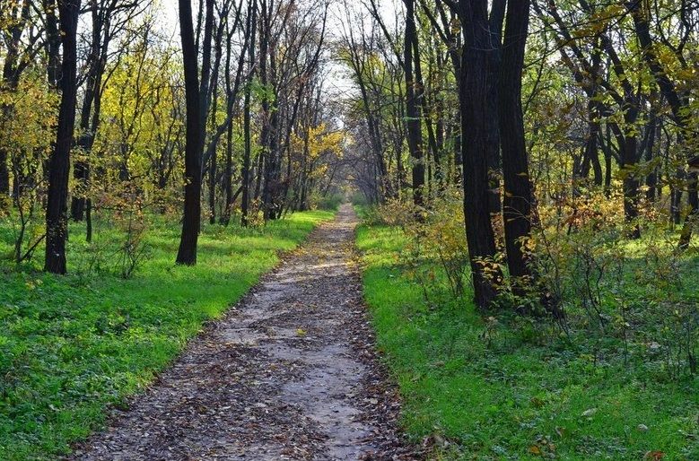 Forest of Friendship of Peoples, Jubilee