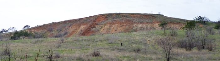 The Mound of the Horse, Wine