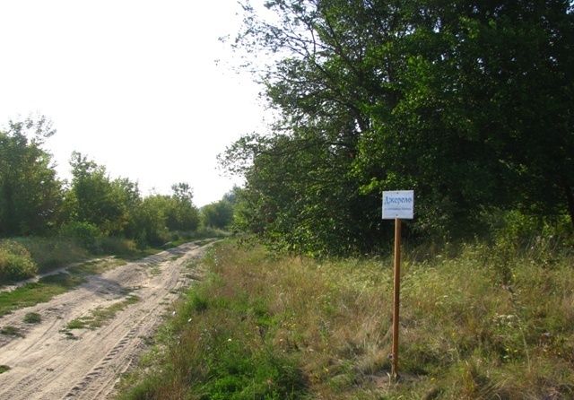 Источник Св. Пантелеймона, Гуляйгородок