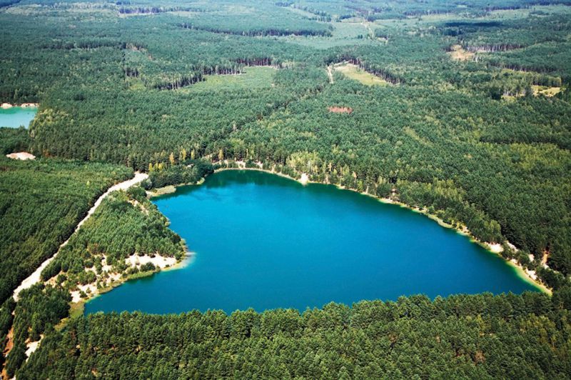 Озеро Серце, Олешня