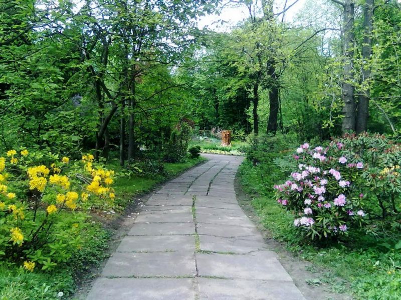 Ботанический сад Черновицкого национального университета