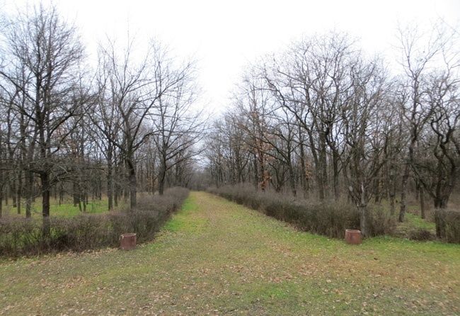 Shevchenko Park, Khortytsya