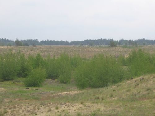 The Saga Nature Reserve