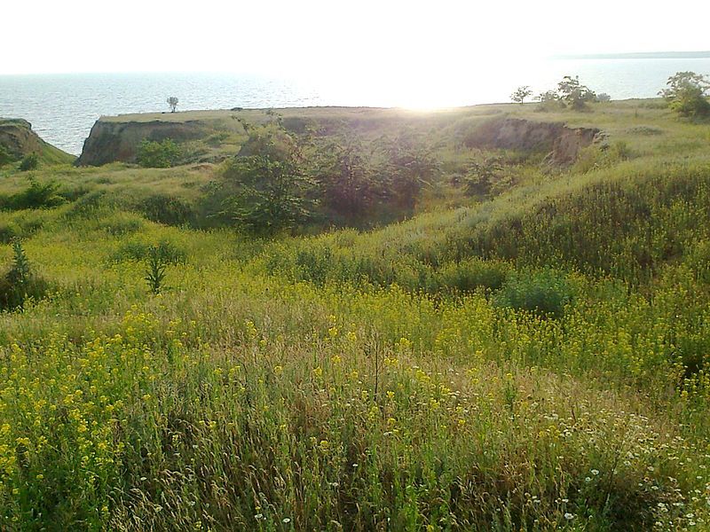 Олександрівський заказник, Олександрівка