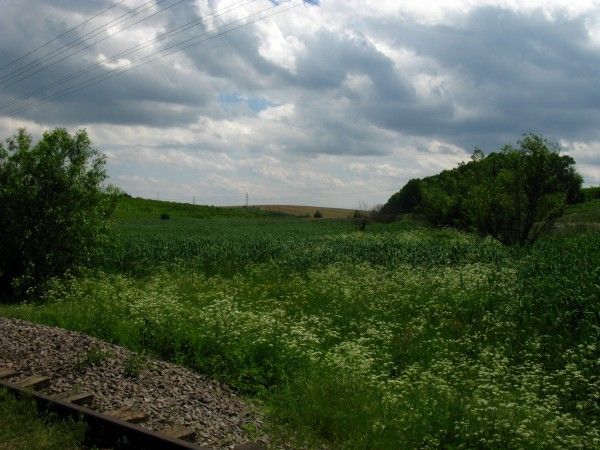 Landscaping reserve Sowitzki marshes