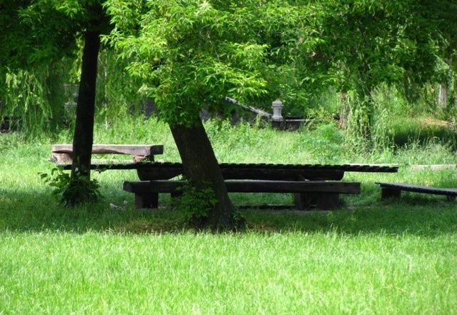  Парк Самойлових, Сміла 