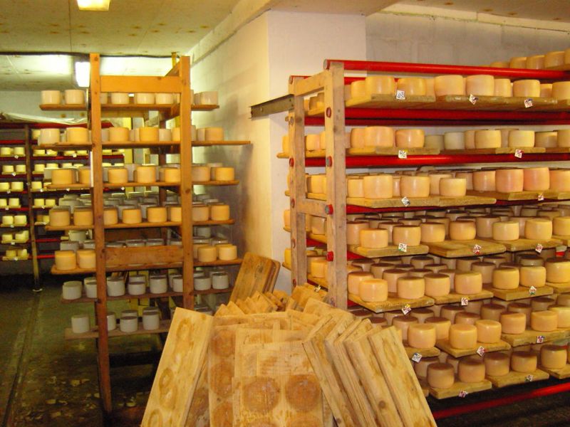 Selisk cheese factory