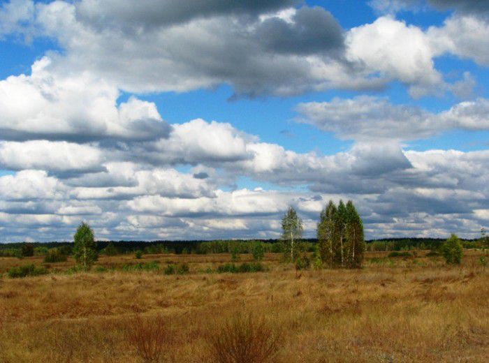 Interrechensky Regional Landscape Park