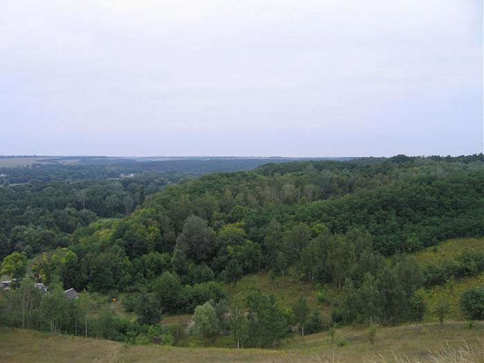 Mount Oyster