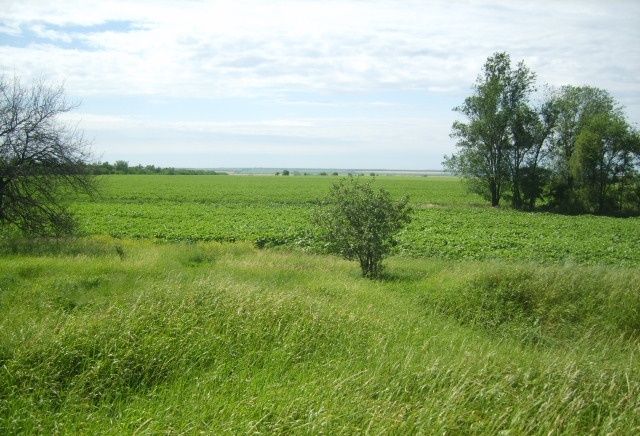 Kurgan Three Graves, Zaporozhye