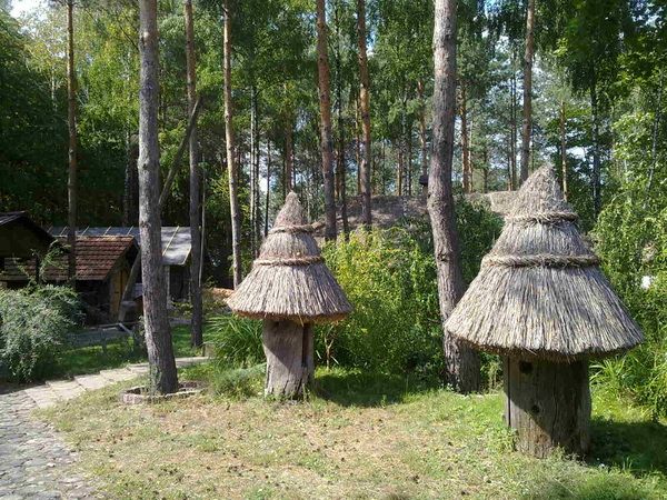  Church Ethnographic complex Ukrainian village 