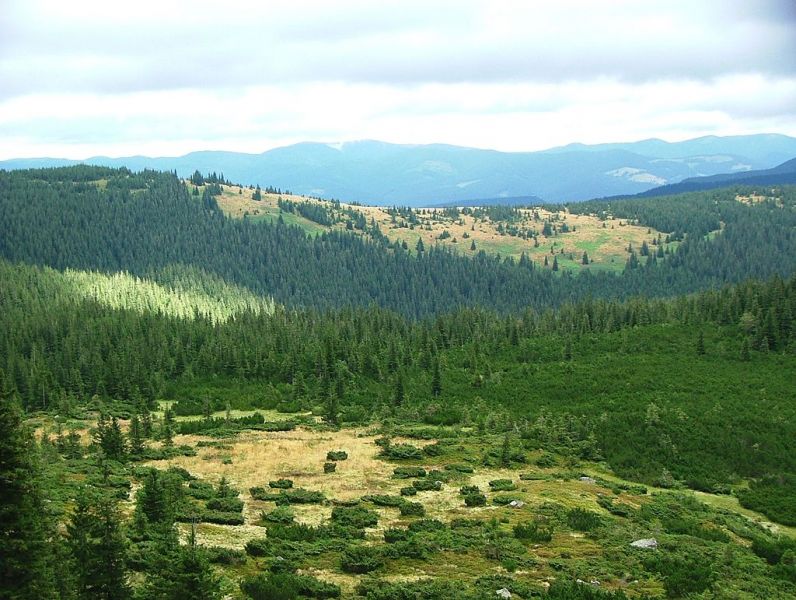 Carpathian National Nature Park