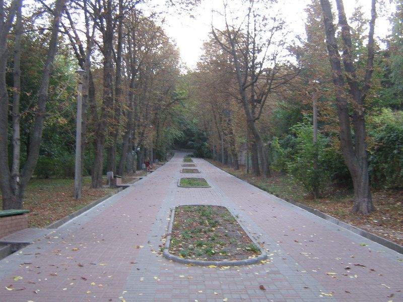 Парк «Березовая роща», Киев
