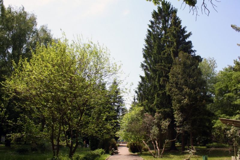 Ivan Asmolov's Park