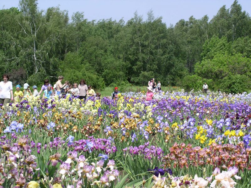  Krivorozhsky Botanical Garden 