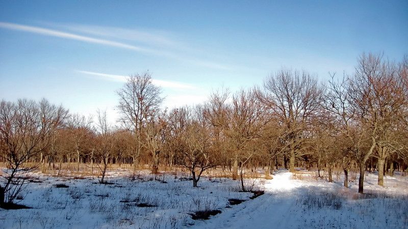 Лесопарк Дружбы народов, Юбилейное