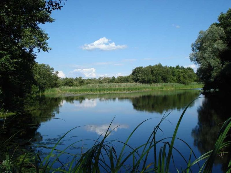 Klimentiev Reserve